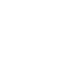 Vidzemes Augstskolas Studentu apvienība