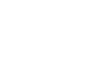 Branchess