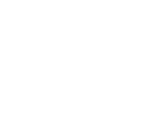 BITUS